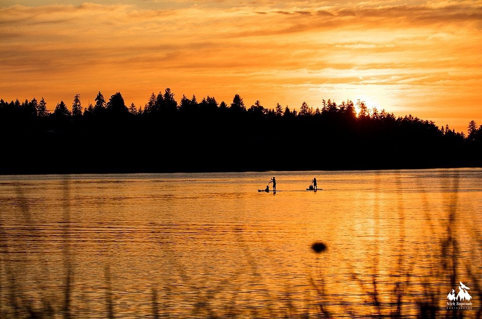 The Magic of Golden Hour: Why These Moments Matter in Photography and in Life
